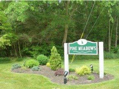 Pine Meadows Sign