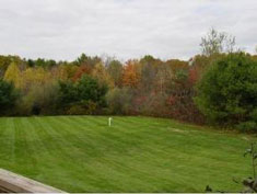 Rear Yard